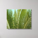 Suche nach kauai leinwandbilder Hawaii