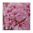 Suche nach japanische kirschblüten fliesen Sakura