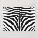 Suche nach zebra druck postkarten Drucken