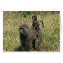 Suche nach pavian postkarten Tier