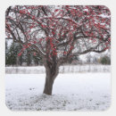 Suche nach rote beeren im schnee aufkleber Winter