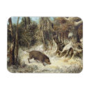 Suche nach boar karten Tiere