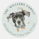 Suche nach dog portrait Hund