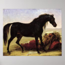 Suche nach cheval poster Männlich