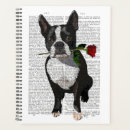 Suche nach boston büro zubehör Niedliche bostoner terrier