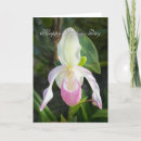 Suche nach orchideen blume karten Mutter