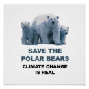 Suche nach eisbären poster Klimawandel