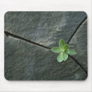 Suche nach bouldern mousepads Niemand