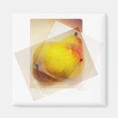 Suche nach birne magnete Kühlschrank