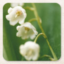 Suche nach maiglöckchen untersetzer Blume