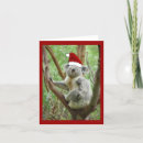 Suche nach weihnachtsbär karten Koala