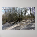 Suche nach flussufer poster Natur