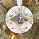 Suche nach hundekuchen ornamente Für haustiere