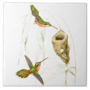 Suche nach nest fliesen Botanisch