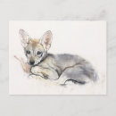 Suche nach gekräuselt Wolf