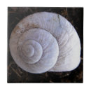 Suche nach schnecke fliesen Jede person