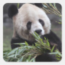 Suche nach gefährdete tiere aufkleber Grün