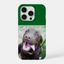 Suche nach labrador iphone hüllen Welpe