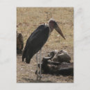 Suche nach sekretär postkarten Afrika