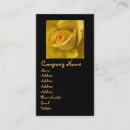 Suche nach makro visitenkarten Jede person