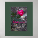 Suche nach single rose poster Blüte