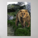 Suche nach grizzly poster Bär
