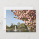 Suche nach kirschbaum postkarten Hanami