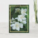 Suche nach jasmin blumen karten Für alle
