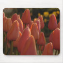 Suche nach rotes blume mousepads Freundin