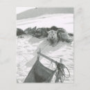 Suche nach schlitten postkarten Hund