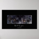 Suche nach black wolf poster Natur