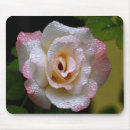 Suche nach geheim computerzubehör Blumen