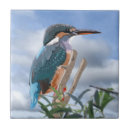 Suche nach raubvogel fliesen Blau