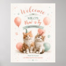 Suche nach kätzchen poster Für kinder