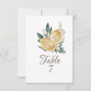 Suche nach früchte tischkarten Zitronen