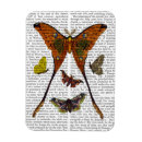 Suche nach motte magnete Steampunk