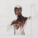 Suche nach muskeln postkarten Männlich