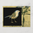 Suche nach vintager hintergrund postkarten Botanisch