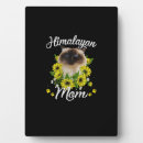 Suche nach verrückt fotoplatten Verrückte katzenfrau