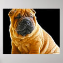 Suche nach chinesischer hund poster Welpe