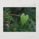 Suche nach süße liebe postkarten Valentin