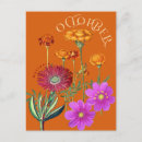 Suche nach marigold postkarten Marigil