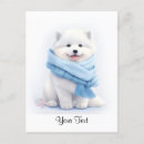 Suche nach amerikanischer eskimo postkarten Hund