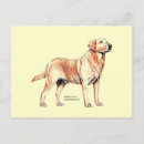 Suche nach sportliche waren postkarten Labrador retriever