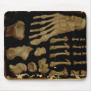 Suche nach füssen mousepads Knochen