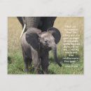 Suche nach bibel vers ermutigung postkarten Glaube