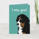 Suche nach sennenhund karten Berner