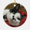 Suche nach schwarzweiss katze ornamente Für alle