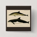 Suche nach vintage tiere buttons Fisch