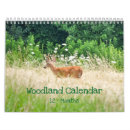 Suche nach kaninchen kalender Wild lebende tiere